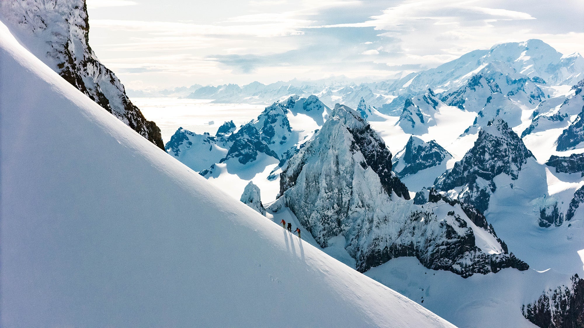 FORTUNA FAVOURS THE BRAVE