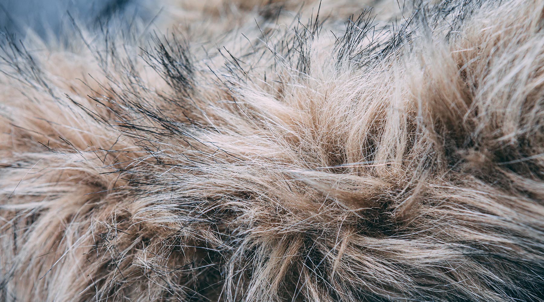 Shackleton goes fur-free