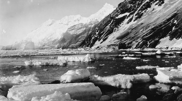 Heritage: The draw of Antarctica