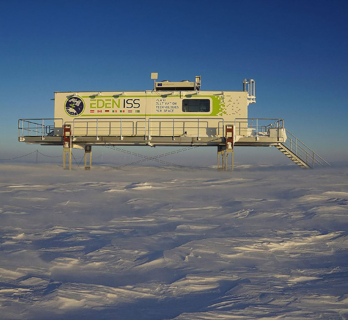 The Astrobotanist: gardening in Antarctica