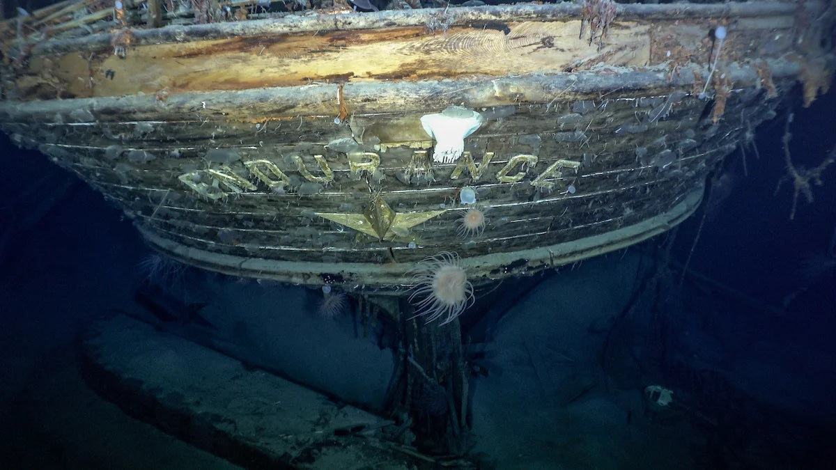 Endurance Shackleton Ship found photo credit: Falklands Maritime Heritage Trust / National Geographic