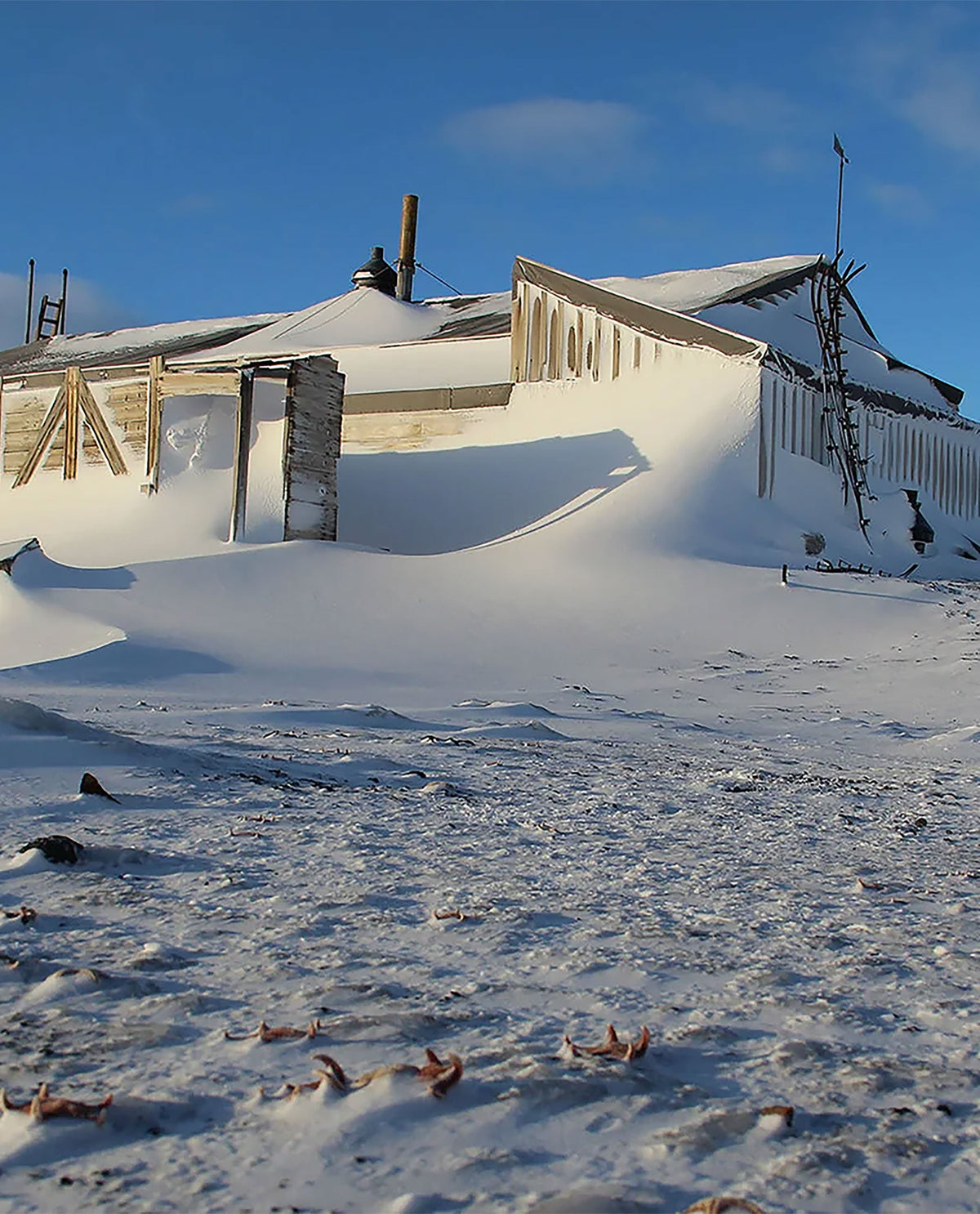 I DO NOT WISH TO BE GOOD – AN INTERVIEW WITH SHACKLETON MEDAL JUDGE, WRITER SARA WHEELER
