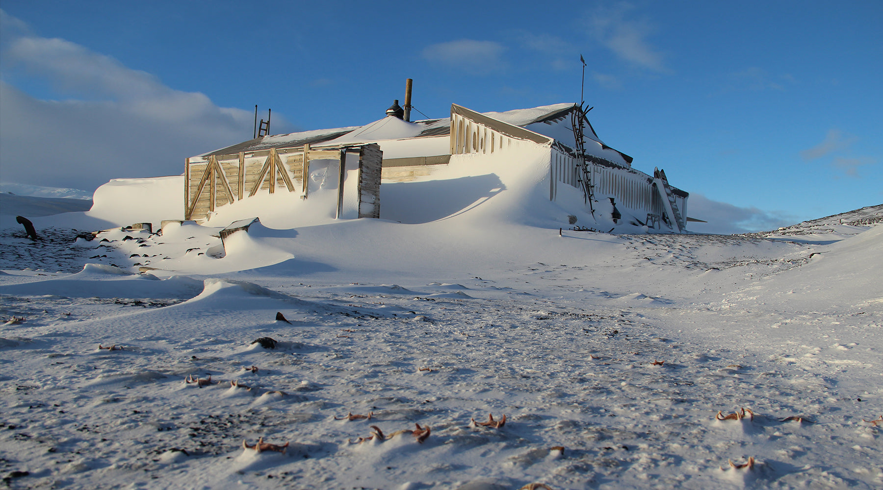 I DO NOT WISH TO BE GOOD – AN INTERVIEW WITH SHACKLETON MEDAL JUDGE, WRITER SARA WHEELER