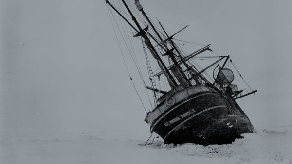 Shackleton Centenary // Events