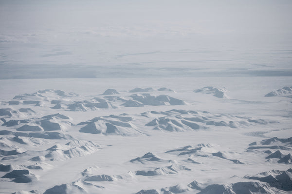 See The Antarctic Through Jean McNeil's Eyes