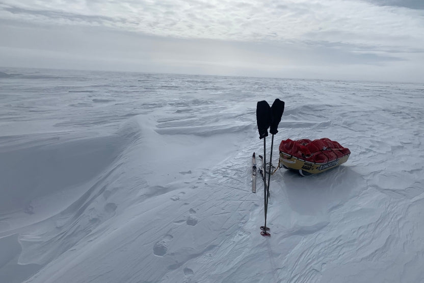 Sastrugi Ski Poles