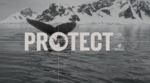 Join the fight to protect Antarctica