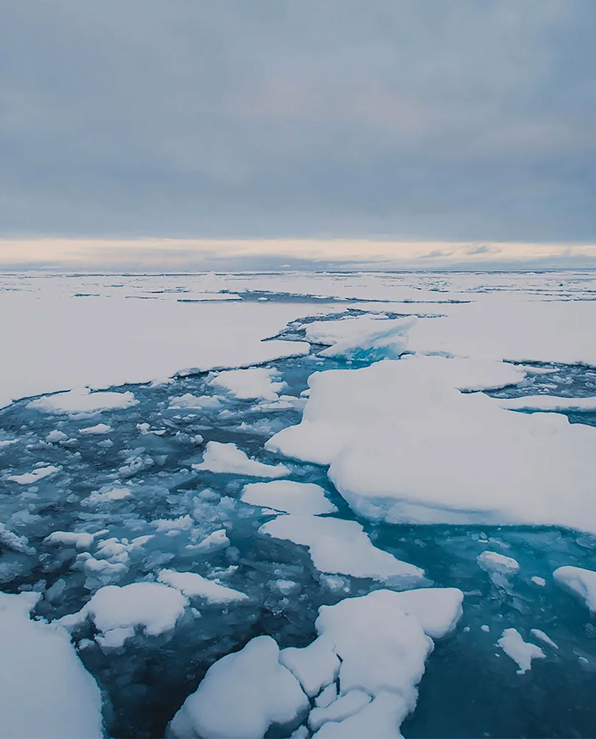 On thin ice with Conor McDonnell