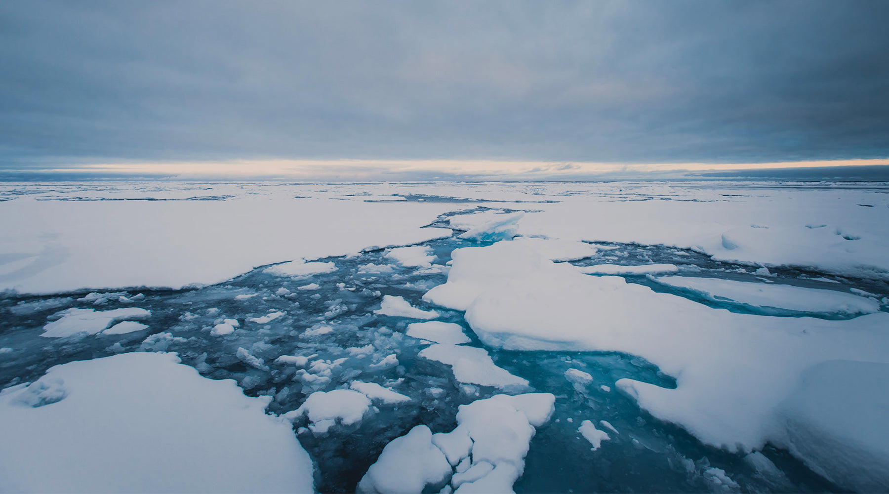 On thin ice with Conor McDonnell