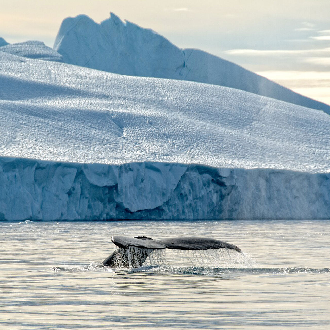 Greenland Ice Sheet Challenge