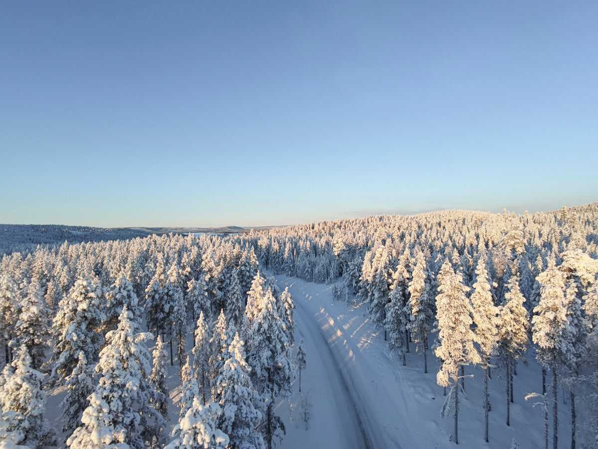 Kungsleden Ski Challenge