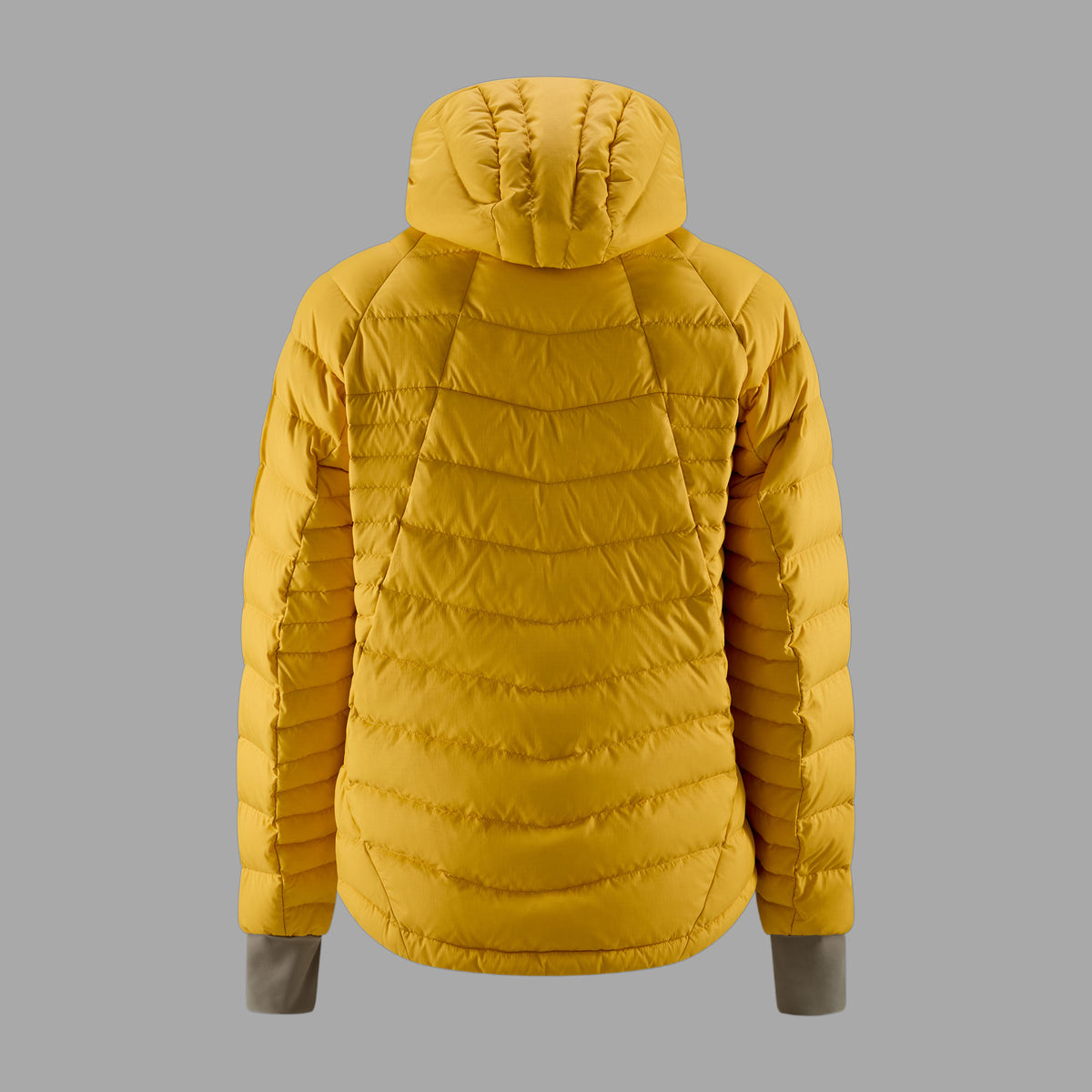Rothera Hooded Down Jacket