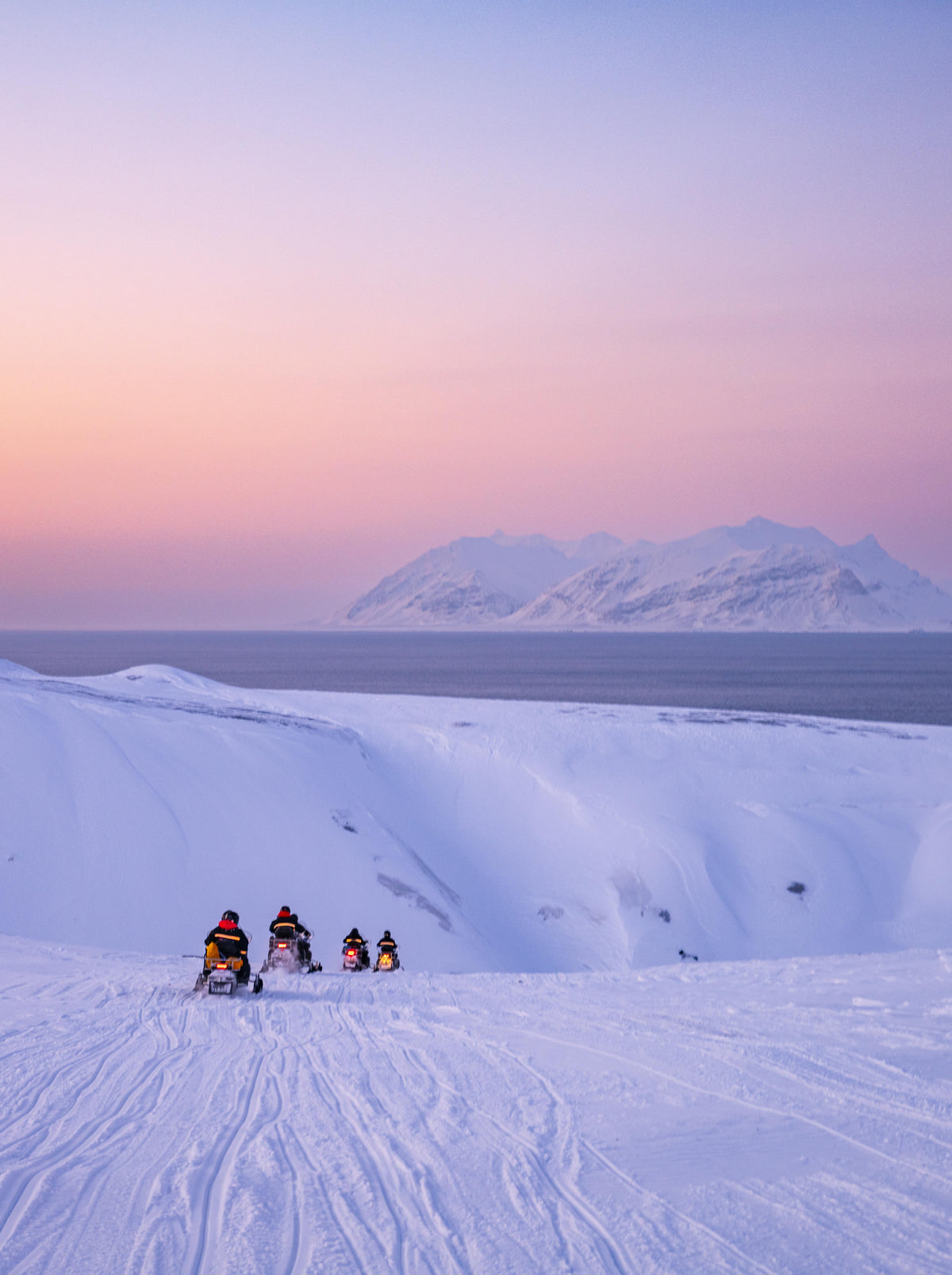 Svalbard Dog Sled and Snowmobile Challenge - 1