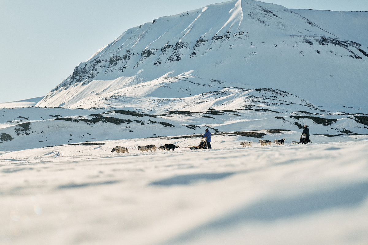 Svalbard Dog Sled and Snowmobile Challenge
