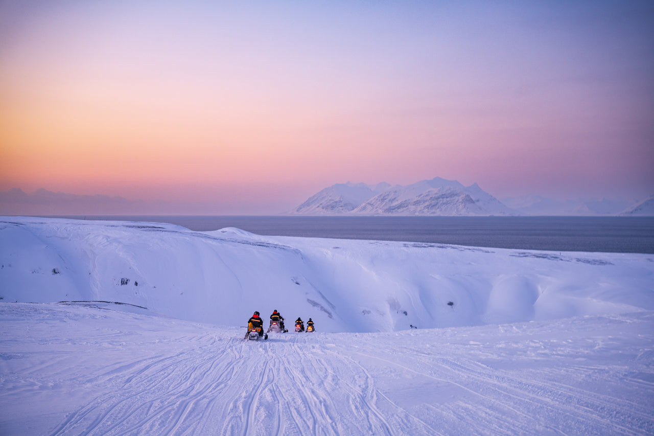 Svalbard Dog Sledding Challenge