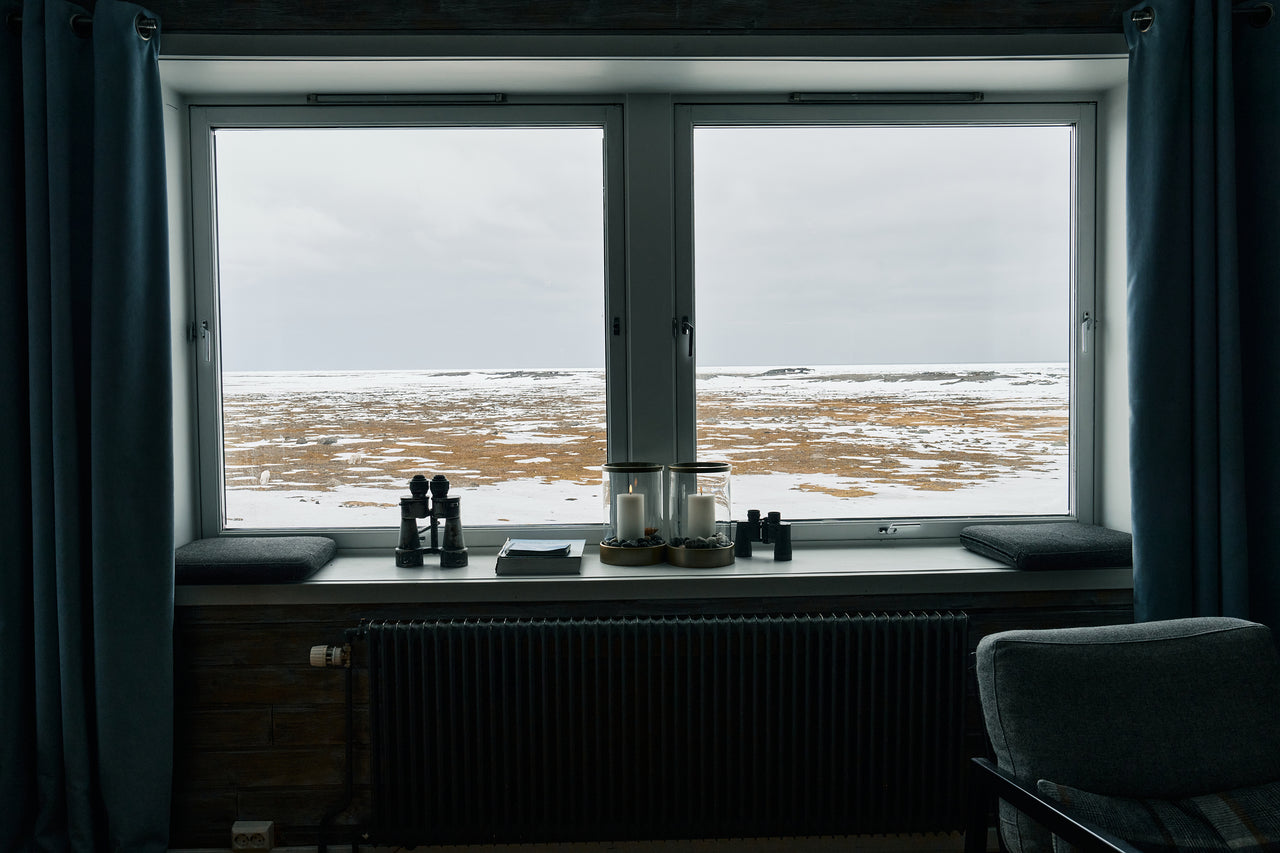 Svalbard Dog Sled and Snowmobile Challenge